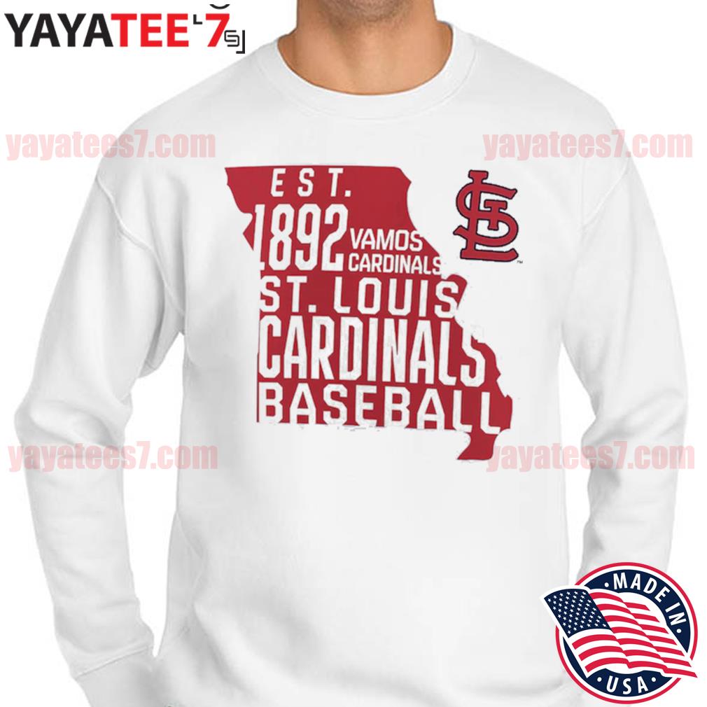 Youth St. Louis Cardinals Red Take the Lead Shirt, hoodie, sweater