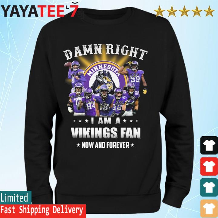 Recent “NFL Fandom Report” doesn't look too favorably on Vikings fans -  Daily Norseman