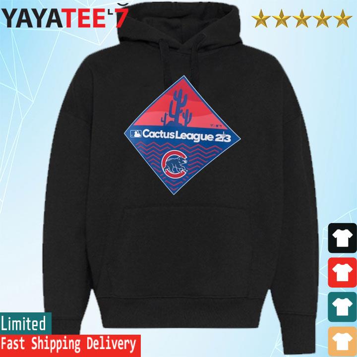 Chicago Cubs Sweatshirt Champion Title Tribute - Anynee