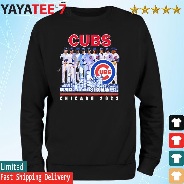 Chicago Cubs 2023 Baseball Team Names Skyline Shirt - Hersmiles