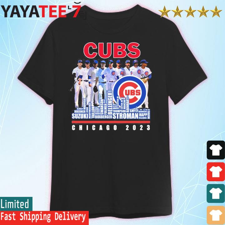 Chicago Cubs 2023 Baseball Team Names Skyline Shirt