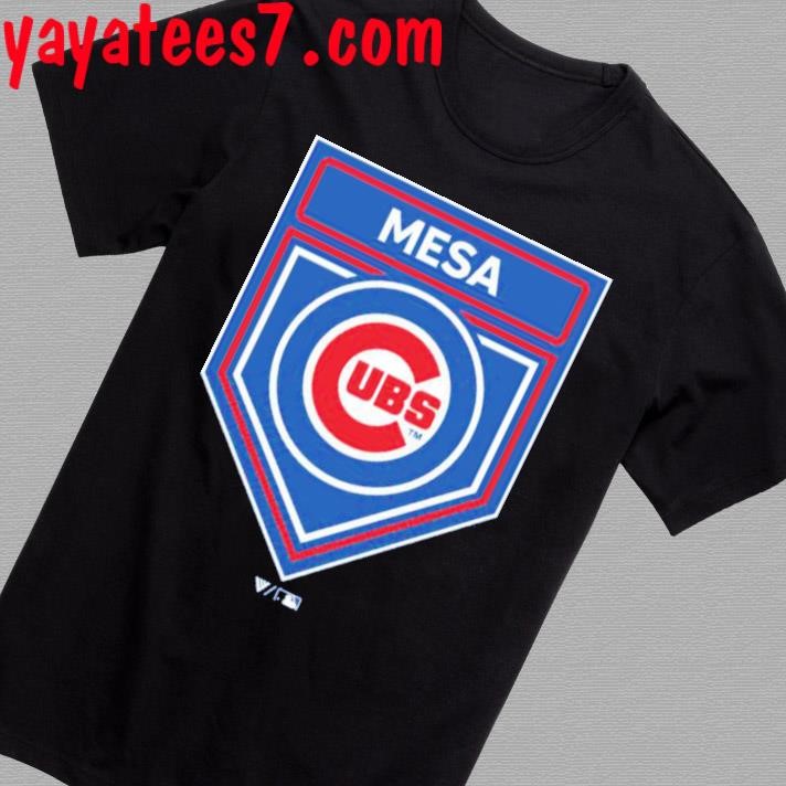 Cubs spring training on sale hoodie